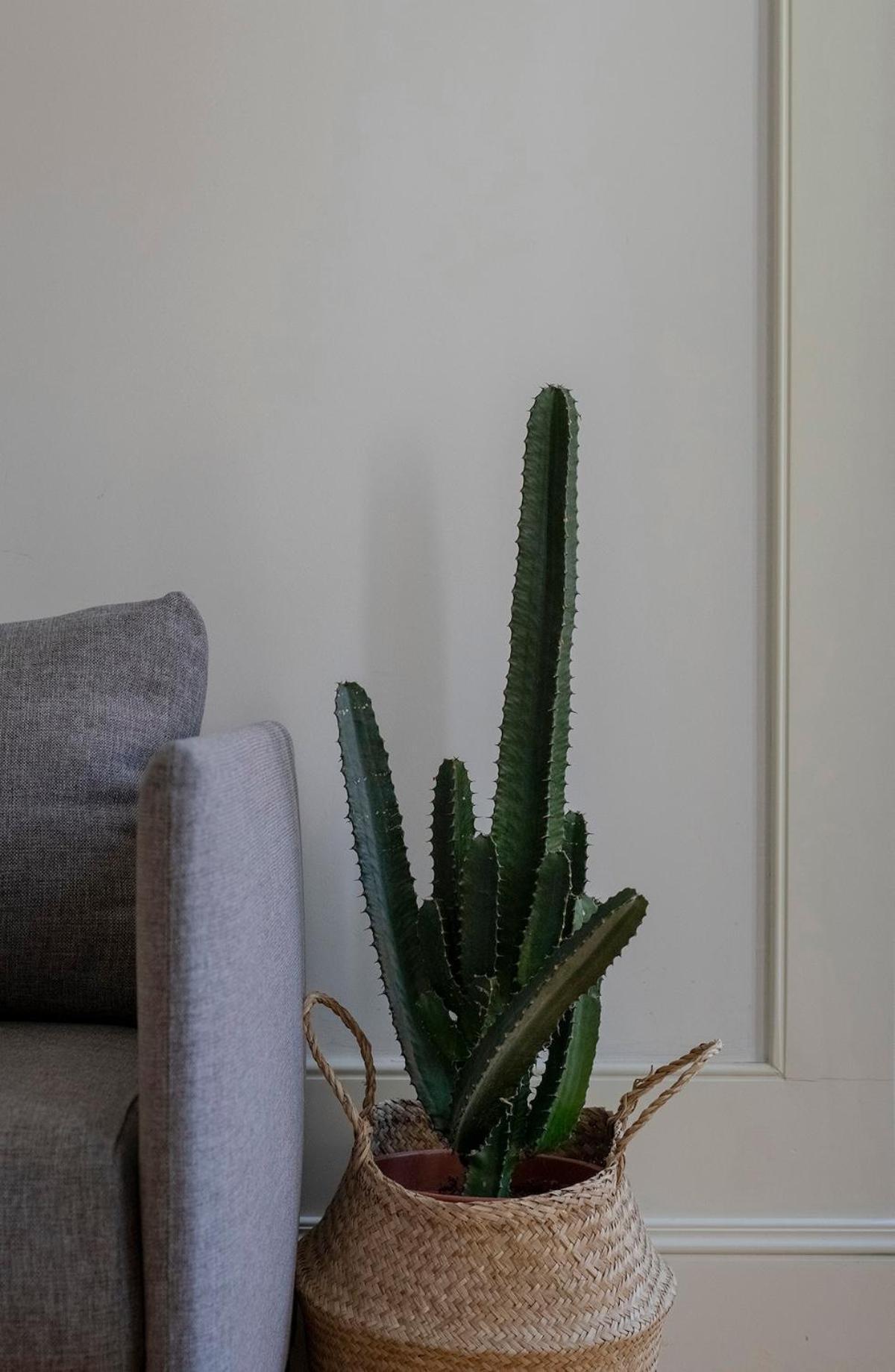 Cl Ildefonso III Apartment ポルト エクステリア 写真